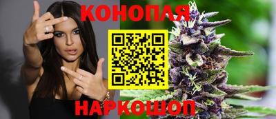 трава Камышлов