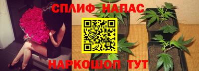 трава Камышлов